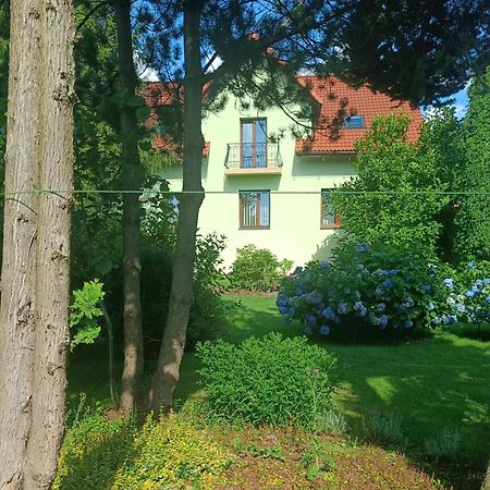 Ferienwohnung Pod Modrzewiami Milówka Exterior foto