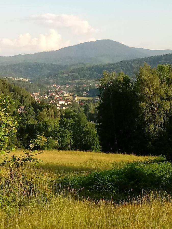 Ferienwohnung Pod Modrzewiami Milówka Exterior foto