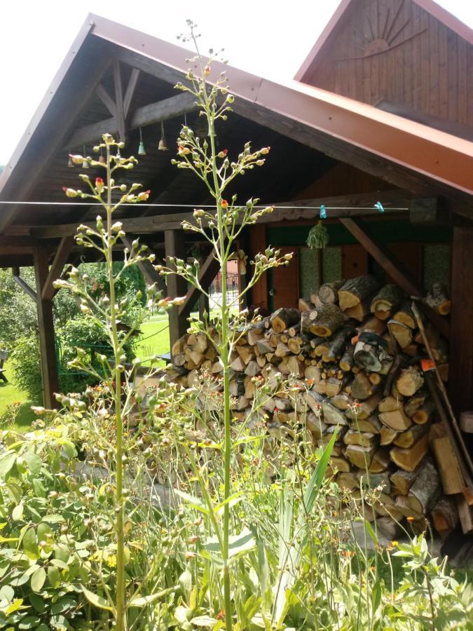 Ferienwohnung Pod Modrzewiami Milówka Exterior foto