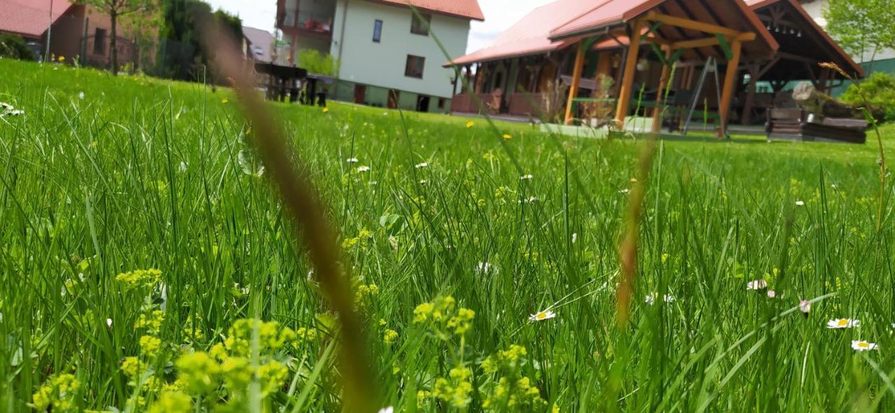 Ferienwohnung Pod Modrzewiami Milówka Exterior foto