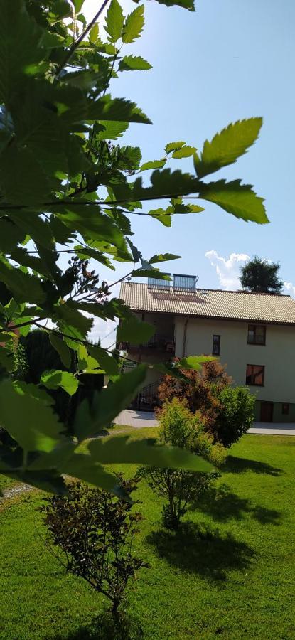 Ferienwohnung Pod Modrzewiami Milówka Exterior foto