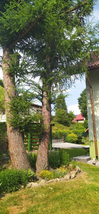 Ferienwohnung Pod Modrzewiami Milówka Exterior foto