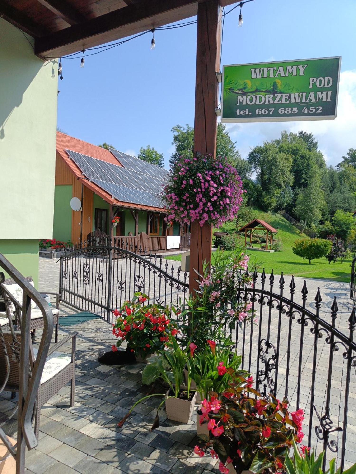 Ferienwohnung Pod Modrzewiami Milówka Exterior foto