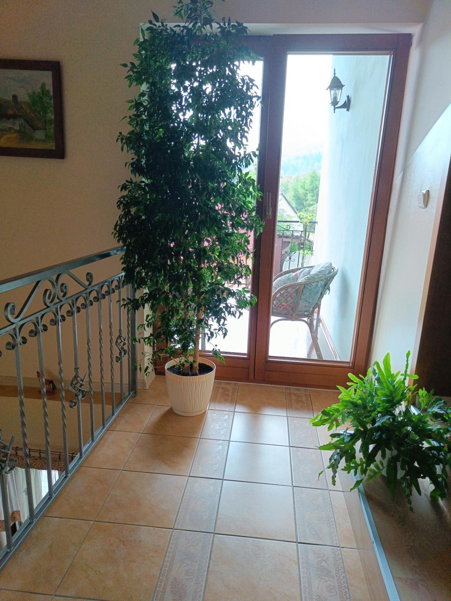 Ferienwohnung Pod Modrzewiami Milówka Exterior foto